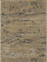 Dutch First Class Fusione 73519 Goud Behang
