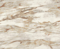 Dutch First Class Roberto Cavalli 9 21021 - CrŠme / Bruin / Goud Metallic Behang