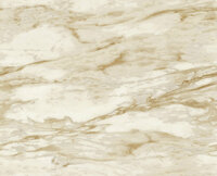 Dutch First Class Roberto Cavalli 9 21024 - Beige Behang