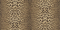 Dutch First Class Roberto Cavalli 9 21041 - Bruin Behang