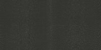 Dutch First Class Roberto Cavalli 9 21044 - Zwart Behang