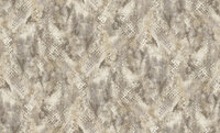 Dutch First Class Roberto Cavalli 9 21054 - Beige Behang