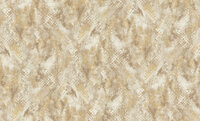 Dutch First Class Roberto Cavalli 9 21056 - CrŠme / Goud Metallic Behang