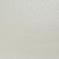 Clarke & Clarke Botanica W0093/04 - Wit Behang