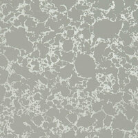 Clarke & Clarke Botanica W0096/03 - Grijs Behang