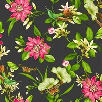 Clarke &amp; Clarke Botanical Wonders W0132/03 - Zwart Behang
