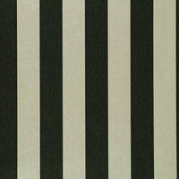 Clarke &amp; Clarke Colony W0085/02 - Zwart Behang