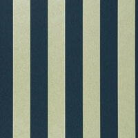 Clarke &amp; Clarke Colony W0085/04 - Zwart Behang