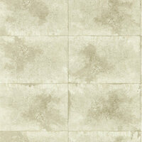 Clarke &amp; Clarke Fushion W0151/02 - Beige Behang