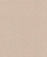 Rasch Tapetenwechsel II 507096 Roze Behang
