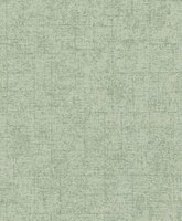 Rasch Tapetenwechsel II 507843 Groen Behang