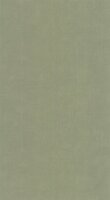 Casadeco &eacute;tamine 200257667 - Groen Behang