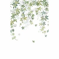 Casadeco Wonderwalls 2 200067204 - Groen Behang