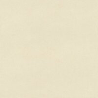 Rasch Beachhouse 479485 Beige Behang