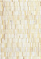 Arte ALL NATURALS FRINGE 40320A Cr&egrave;me / ZilverBehang