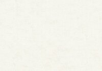 HookedOnWalls NEW BALI 46800 Wit Behang