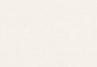 HookedOnWalls NEW BALI 46801 Wit Behang