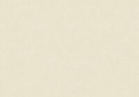 HookedOnWalls NEW BALI 46802 Cr&eacute;me Behang