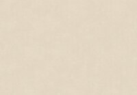 HookedOnWalls NEW BALI 46808 Beige Behang