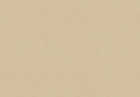 HookedOnWalls NEW BALI 46809 Beige Behang