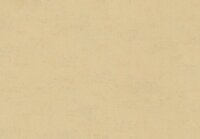 HookedOnWalls NEW BALI 46810 Beige Behang