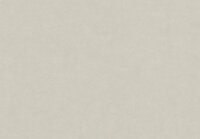 HookedOnWalls NEW BALI 46813 Grijs Behang