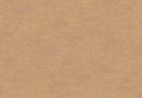 HookedOnWalls NEW BALI 46816 Bruin Behang