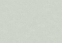 HookedOnWalls NEW BALI 46818 Grijs Behang