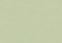 HookedOnWalls NEW BALI 46820 Groen Behang