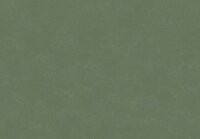 HookedOnWalls NEW BALI 46823 Groen Behang