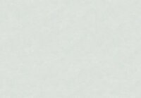 HookedOnWalls NEW BALI 46824 Groen Behang