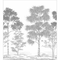 Caselio Balade - Zwart BLD106169001 Behang