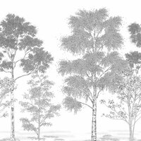 Caselio Balade - Zwart BLD106169006 Behang