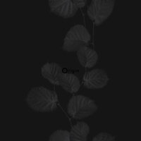Origin Wallcoverings Park Avenue 326336 - Zwart / zilver / Grijs Behang
