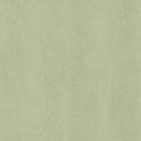 Dutch Wallcoverings Feature Walls FW1038 - Groen Behang