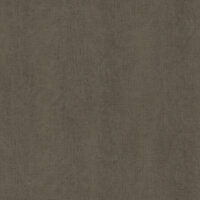 Dutch Wallcoverings Feature Walls FW1040 - Bruin Behang