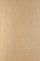 Arte Embleme (incl. Gratis Lijm*) 38005A