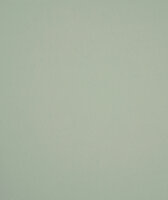 HookedOnWalls Young Traditionals (incl. Gratis Lijm*) 27853 Groen