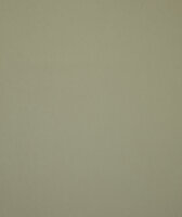 HookedOnWalls Young Traditionals (incl. Gratis Lijm*) 27851 Groen