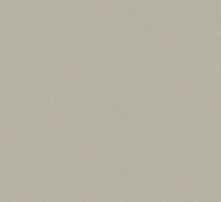 HookedOnWalls Material Matters (incl. Gratis Lijm*) 24711 Champagne