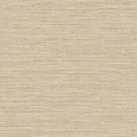 Dutch First Class Textura (incl. Gratis Lijm*) 66203