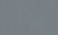 Dutch First Class Voyage (incl. Gratis Lijm*) DB73759 Metallic Zilver