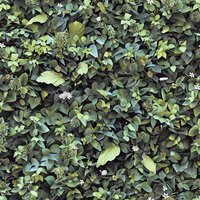 Dutch Wallcoverings Illusion M891-04 Groen