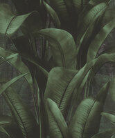 Rasch Back to Nature 416237 - Groen / Zwart