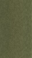 Casadeco Vegetals (incl. Gratis Lijm*) VEGE201277777 - Groen