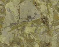 Dutch First Class Carrara 4 (incl. Gratis Lijm*) 86628 Groen / Beige