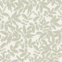 Dutch First Class Ester (incl. Gratis Lijm*) 20123
