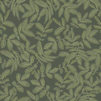 Dutch First Class Ester (incl. Gratis Lijm*) 20125