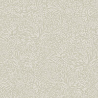 Dutch First Class Ester (incl. Gratis Lijm*) 20127