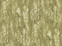 Dutch First Class Carrara 4 (incl. Gratis Lijm*) 86640 Groen / Crème